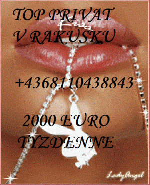 prace ve vidni 2